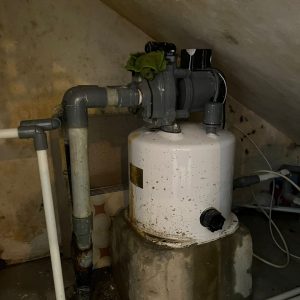 WhatsApp Image 2023-03-14 at 12.00.43 (1)