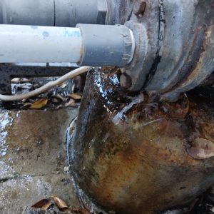 WhatsApp Image 2023-03-14 at 12.00.46 (1)